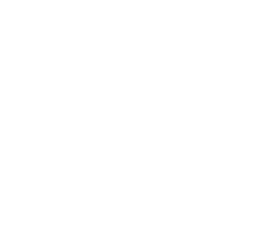 Investable-Assets-Icon
